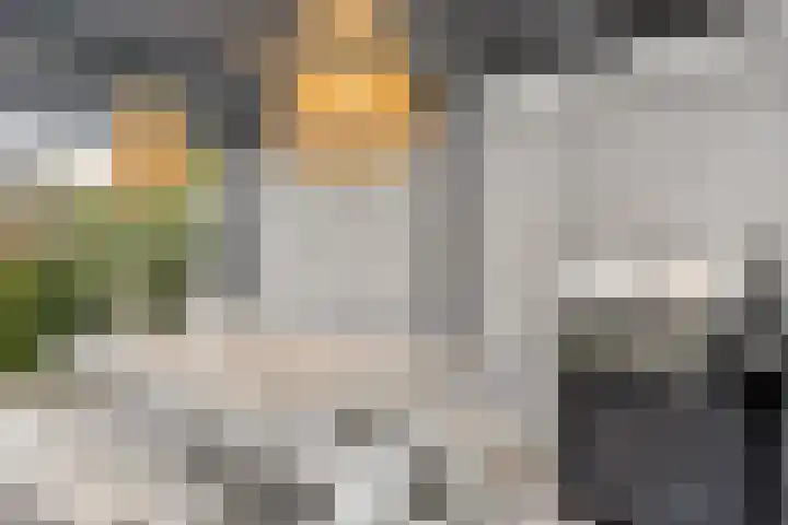 Broekveeweg 35 Herten thumbnail 51