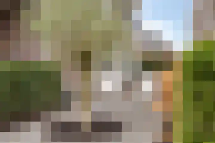 Broekveeweg 35 Herten thumbnail 52