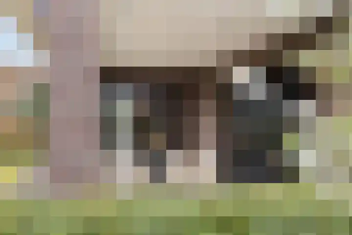 Broekveeweg 35 Herten thumbnail 53