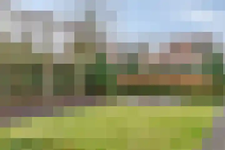 Broekveeweg 35 Herten thumbnail 54