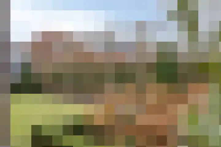 Broekveeweg 35 Herten thumbnail 56