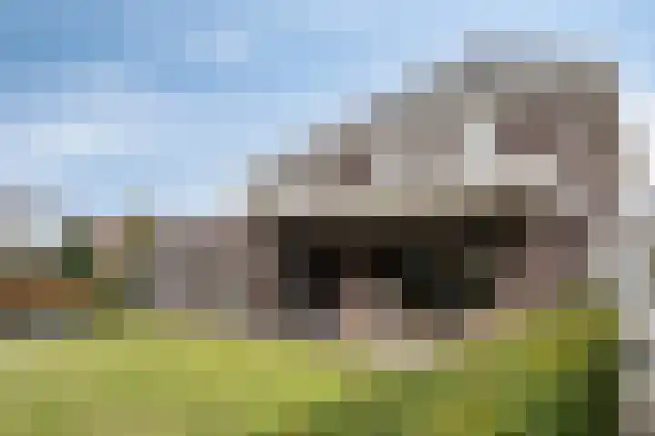 Broekveeweg 35 Herten thumbnail 57