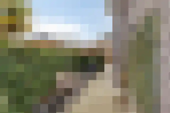 Broekveeweg 35 Herten thumbnail 59