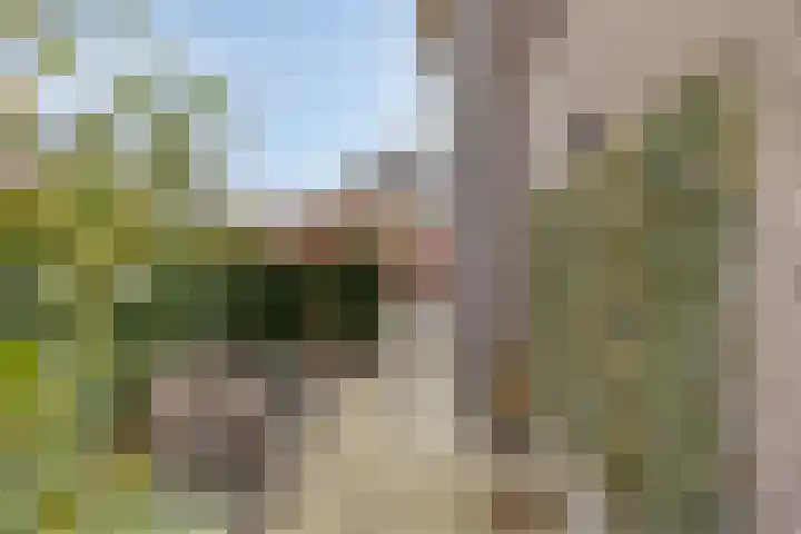 Broekveeweg 35 Herten thumbnail 60