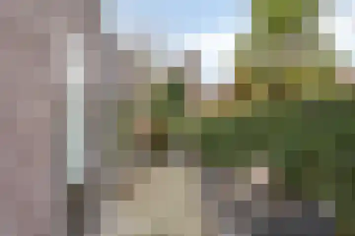 Broekveeweg 35 Herten thumbnail 61