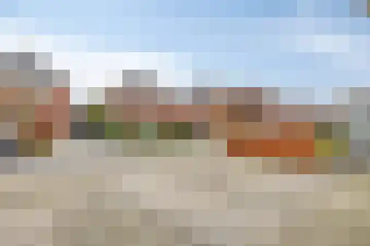 Broekveeweg 35 Herten thumbnail 66