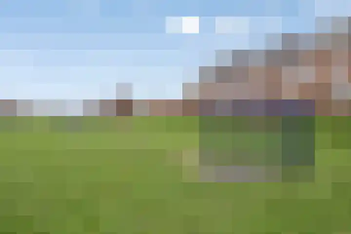 Broekveeweg 35 Herten thumbnail 68