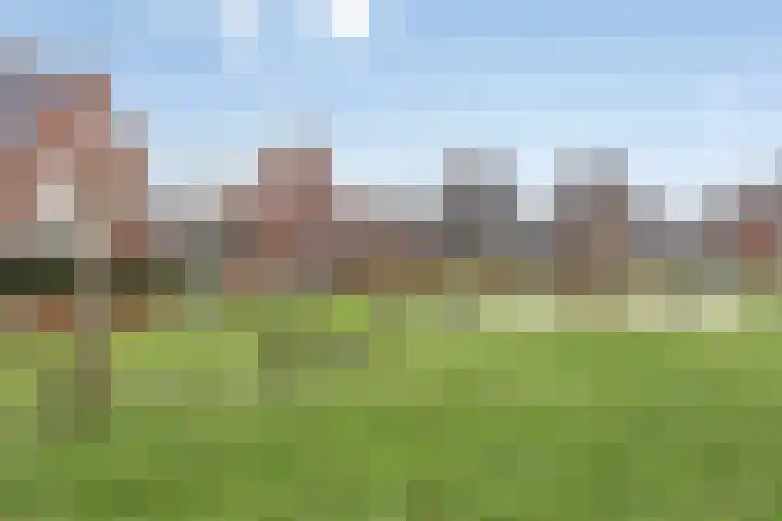 Broekveeweg 35 Herten thumbnail 69