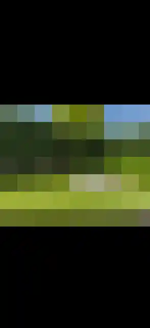Broekveeweg 35 Herten thumbnail 70