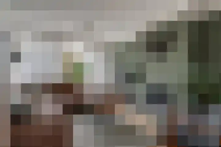 Broekveldseweg 16 Rheden thumbnail 21
