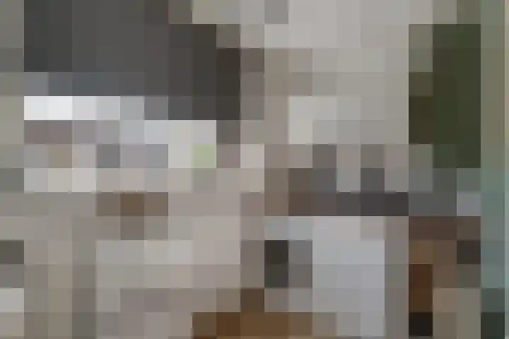 Broekveldseweg 16 Rheden thumbnail 23
