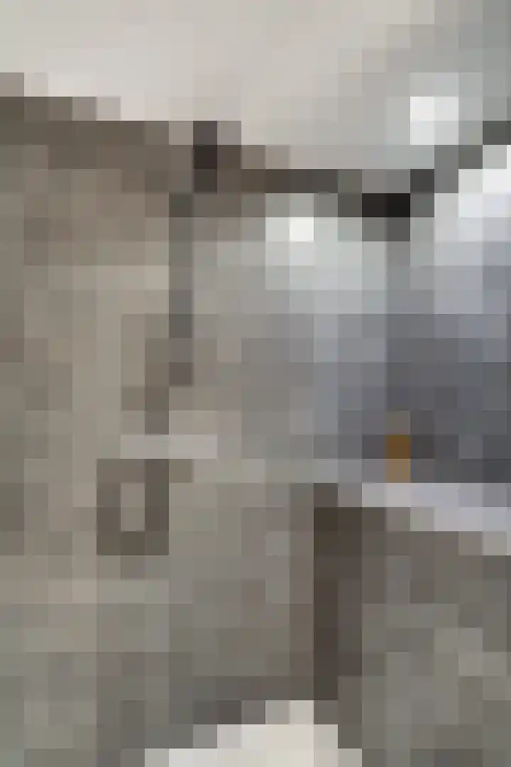 Broekveldseweg 16 Rheden thumbnail 41