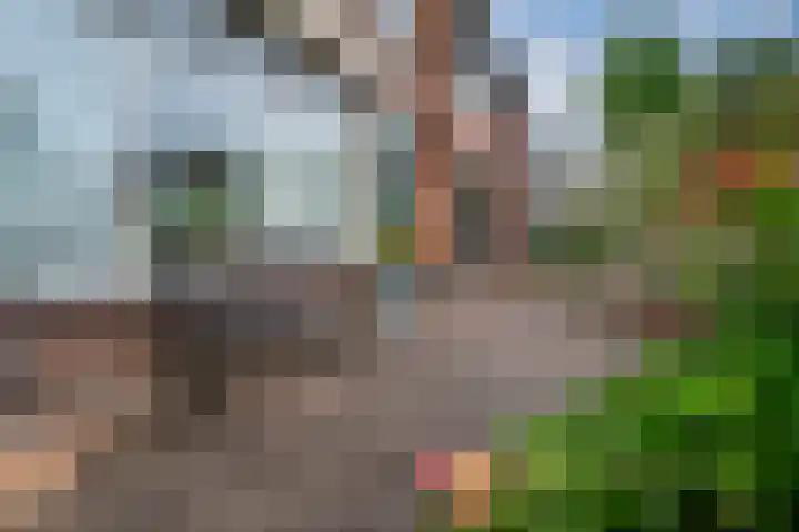 Broekveldseweg 16 Rheden thumbnail 9