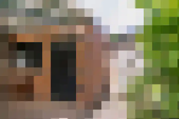 Broekveldseweg 20 Rheden thumbnail 23