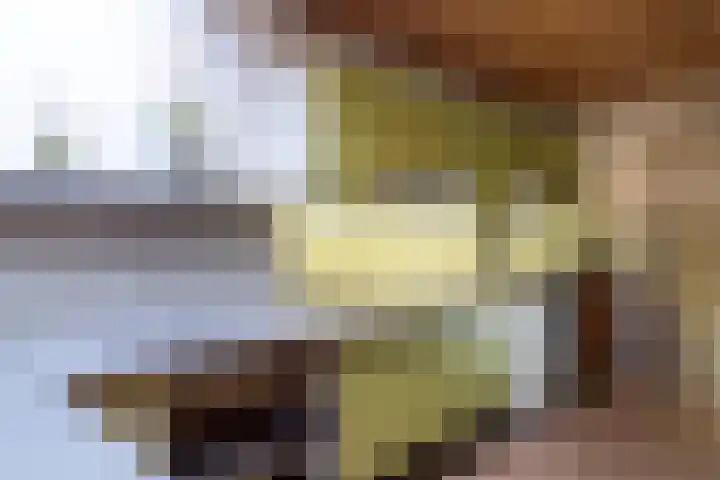 Broekveldseweg 20 Rheden thumbnail 7
