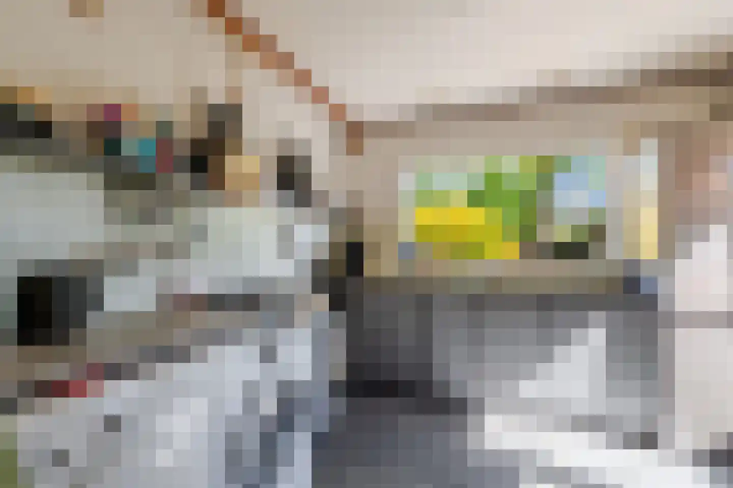 Broekveldseweg 42 Rheden thumbnail 10