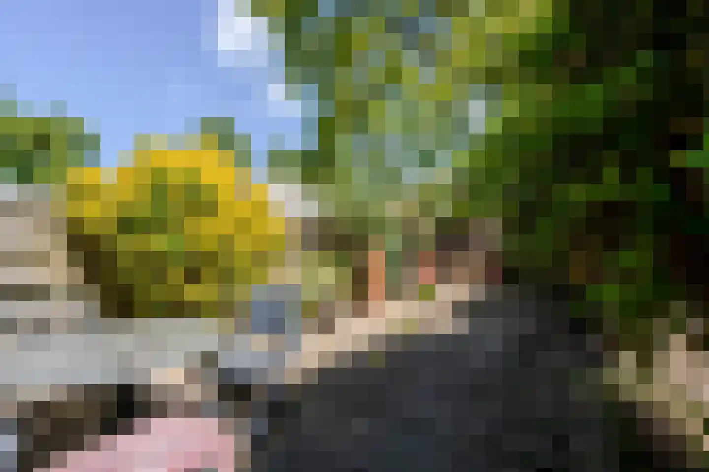 Broekveldseweg 42 Rheden thumbnail 26
