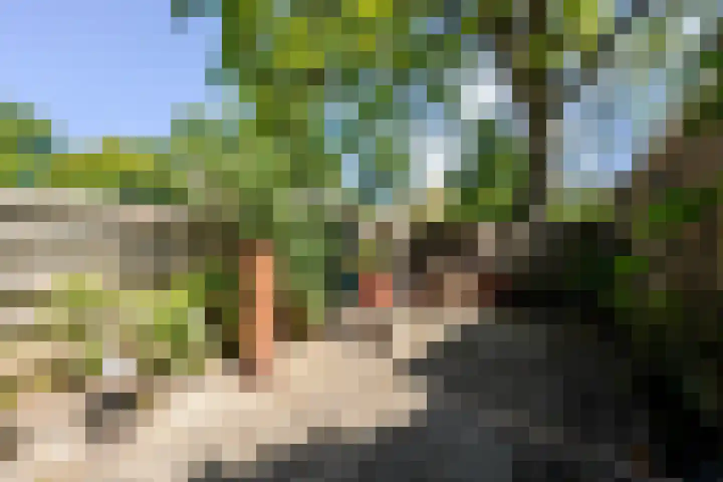 Broekveldseweg 42 Rheden thumbnail 27