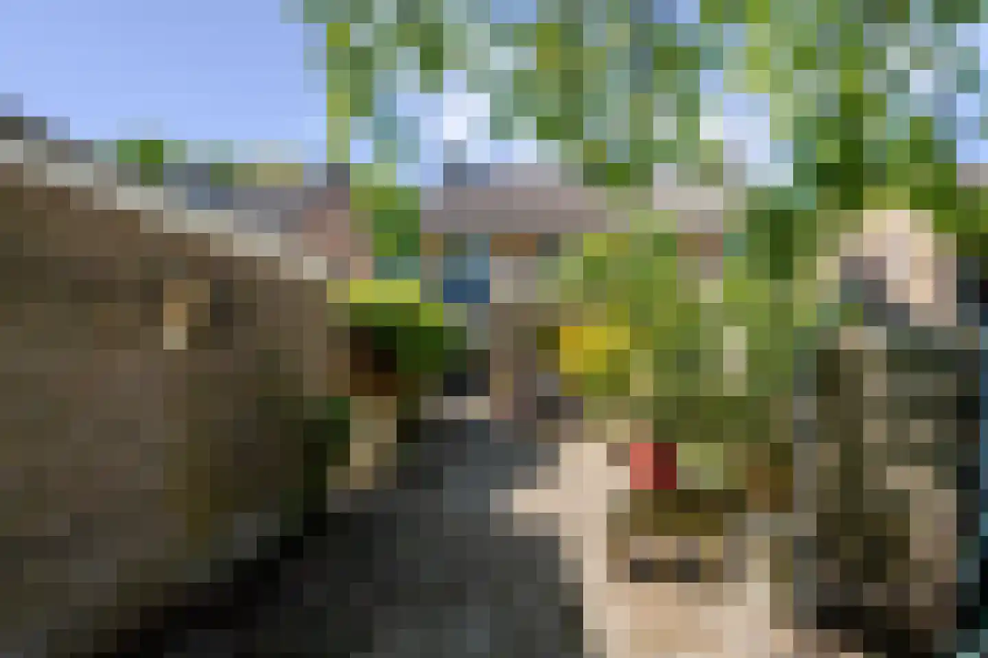 Broekveldseweg 42 Rheden thumbnail 28