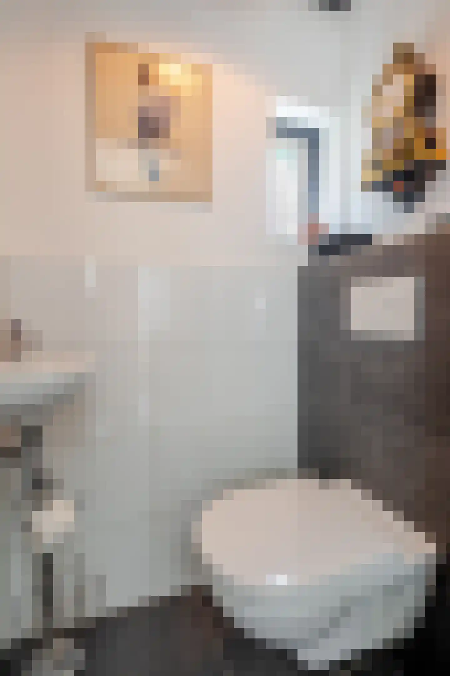 Broekveldseweg 42 Rheden thumbnail 4