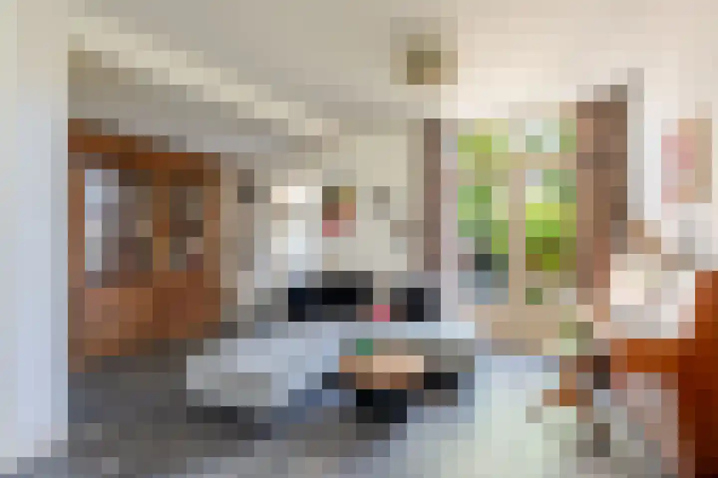 Broekveldseweg 42 Rheden thumbnail 8