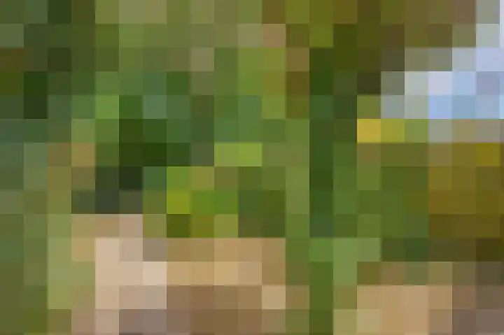 Broekveldseweg 44 Rheden thumbnail 12