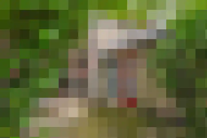 Broekveldseweg 44 Rheden thumbnail 28