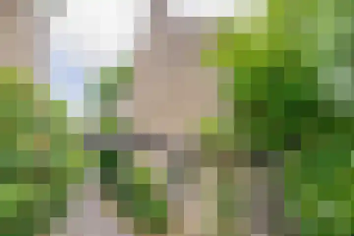 Broekveldseweg 44 Rheden thumbnail 29