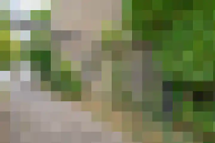 Broekveldseweg 44 Rheden thumbnail 30