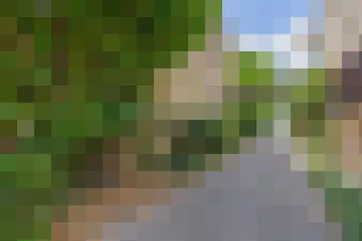 Broekveldseweg 44 Rheden thumbnail 31