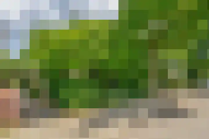 Broekveldseweg 44 Rheden thumbnail 32