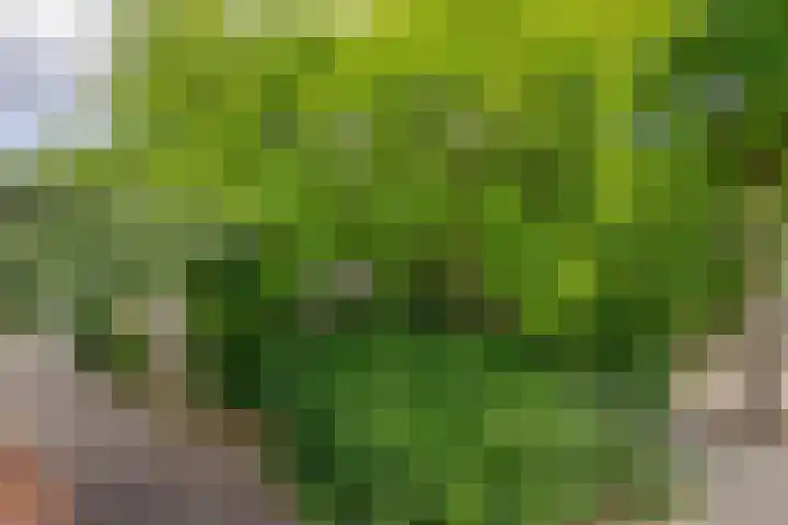 Broekveldseweg 44 Rheden thumbnail 33