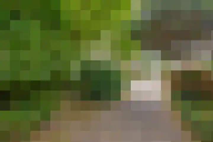 Broekveldseweg 44 Rheden thumbnail 34