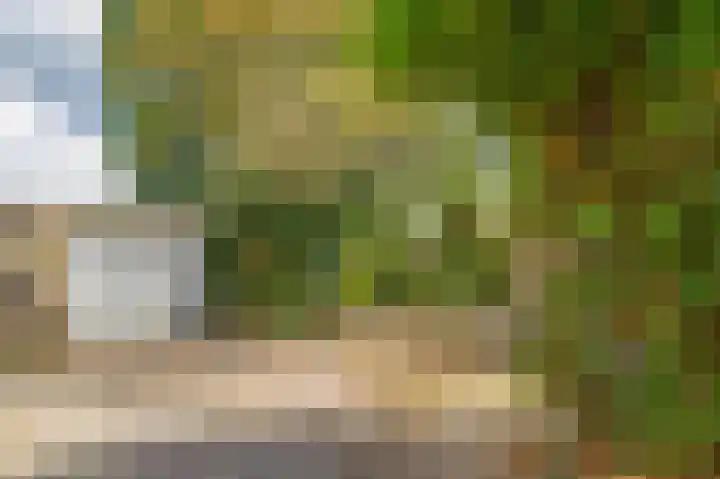 Broekveldseweg 44 Rheden thumbnail 35