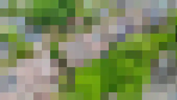 Broekveldseweg 44 Rheden thumbnail 37