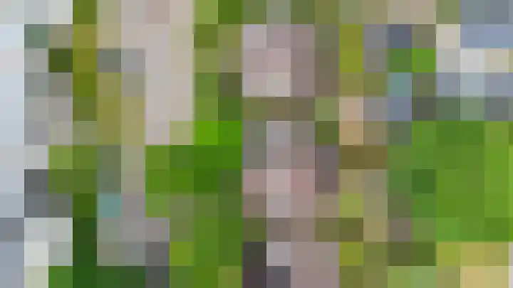 Broekveldseweg 44 Rheden thumbnail 41