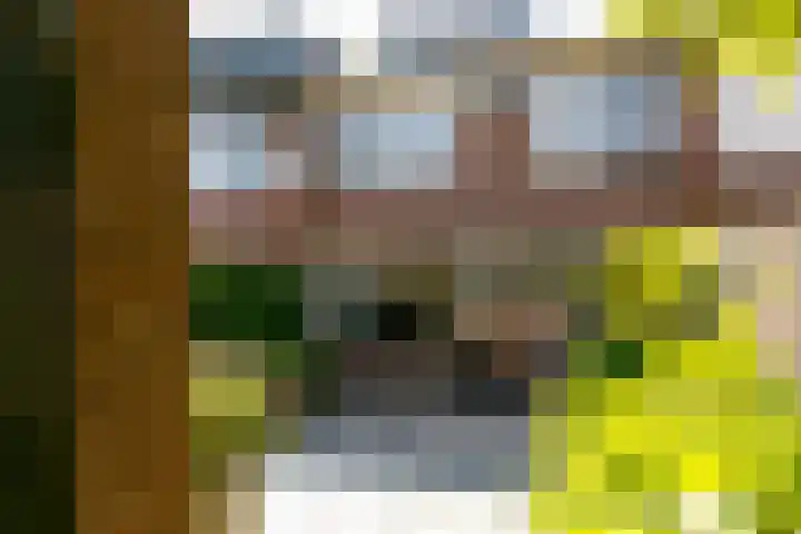 Broekveldseweg 6 Rheden thumbnail 21