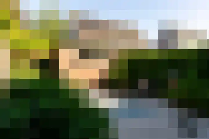 Broekveldseweg 6 Rheden thumbnail 22
