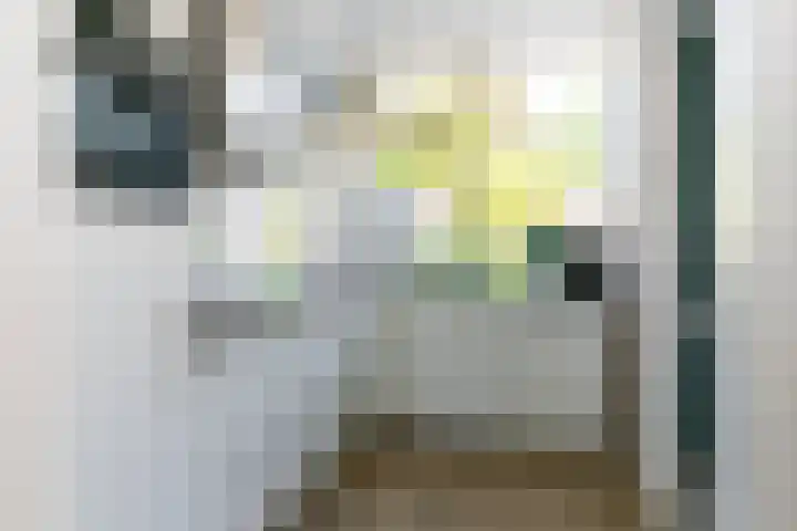 Broekveldseweg 6 Rheden thumbnail 8