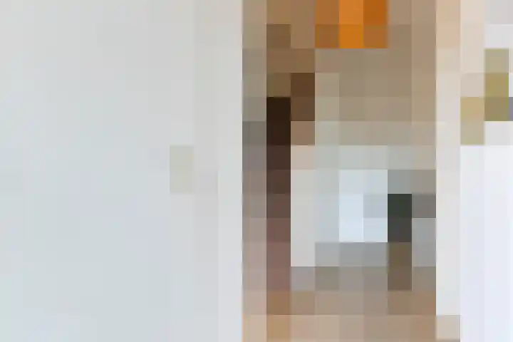 Broekveldseweg 6 Rheden thumbnail 9