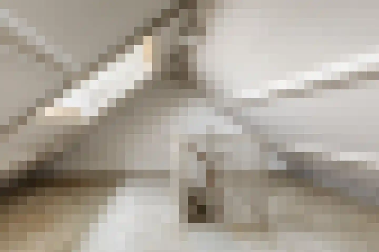 Broekwal 5 Helvoirt thumbnail 28