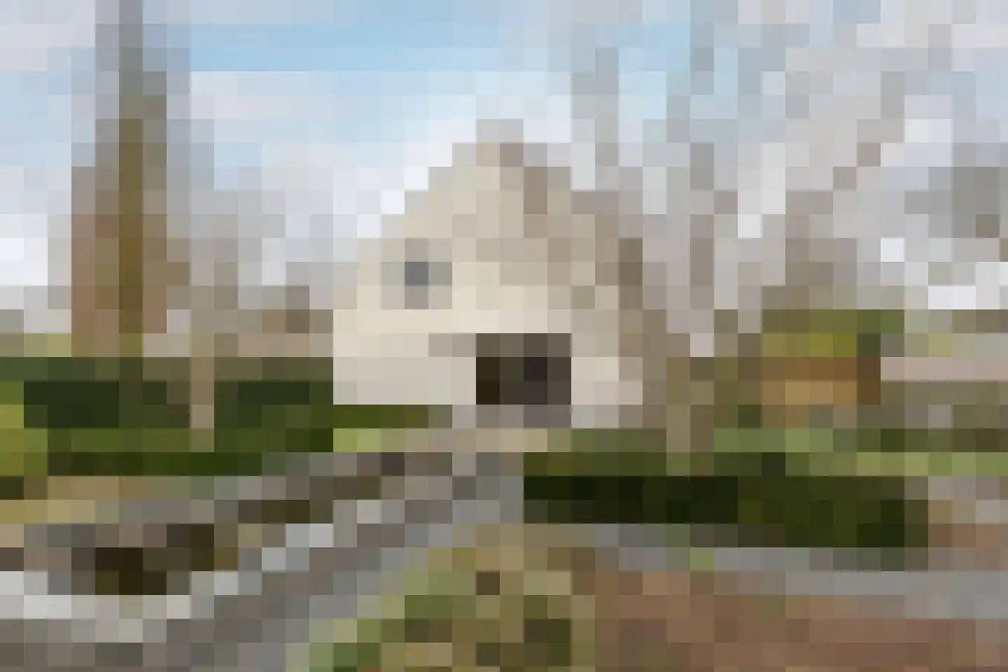Broekwal 5 Helvoirt thumbnail 36