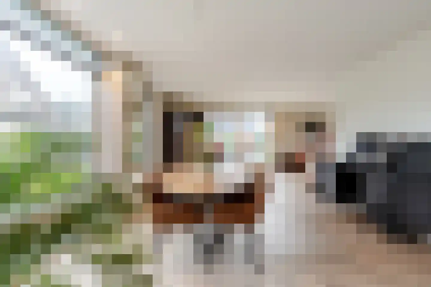 Broekwal 5 Helvoirt thumbnail 5