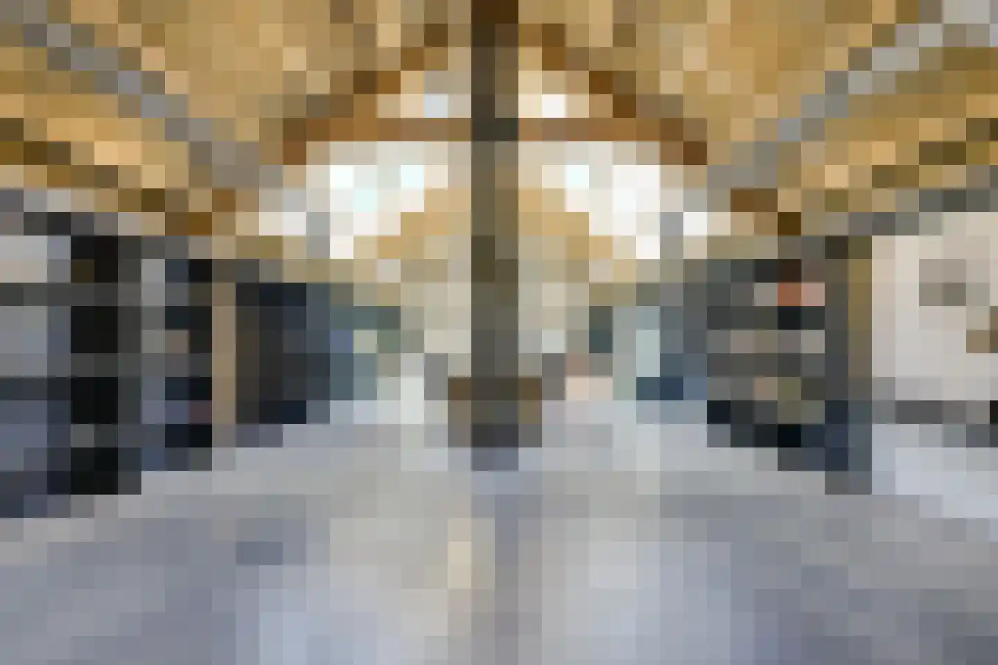 Broekweg 12 Wijk bij Duurstede thumbnail 17