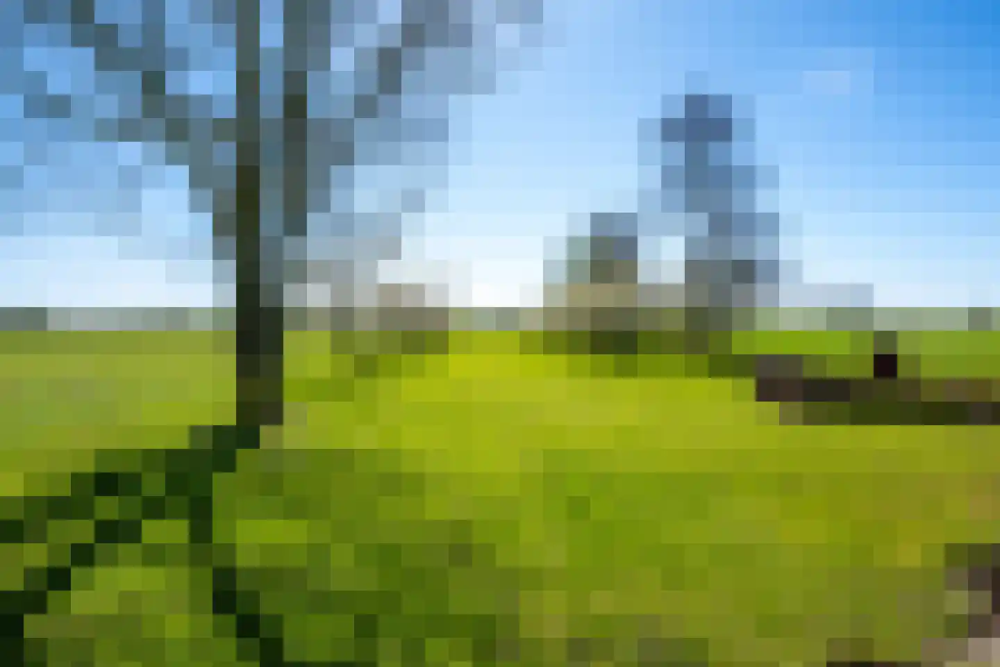 Broekweg 12 Wijk bij Duurstede thumbnail 30