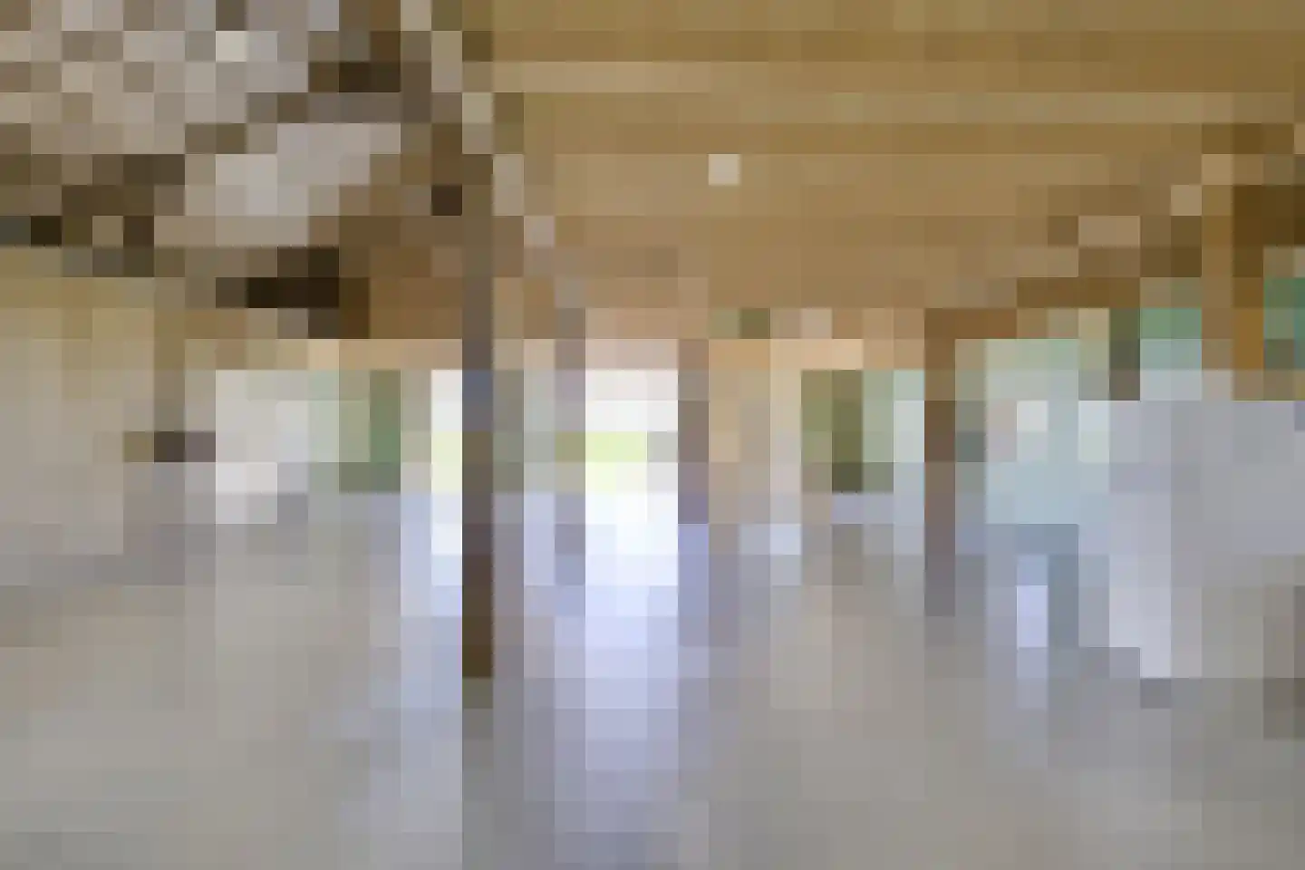 Broekweg 12 Wijk bij Duurstede thumbnail 8