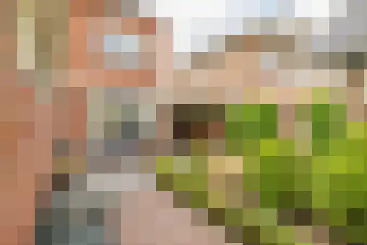 Broekweg 130 Lisse thumbnail 17