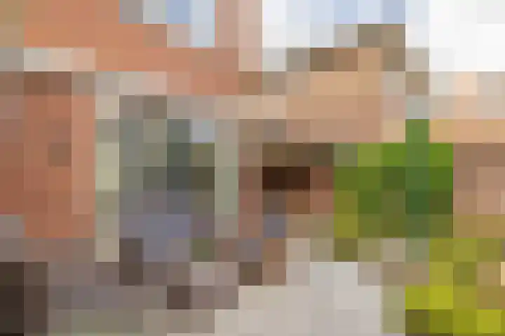 Broekweg 130 Lisse thumbnail 18