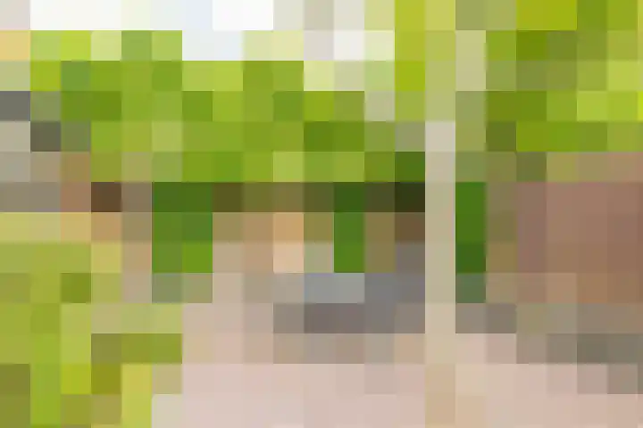 Broekweg 130 Lisse thumbnail 22