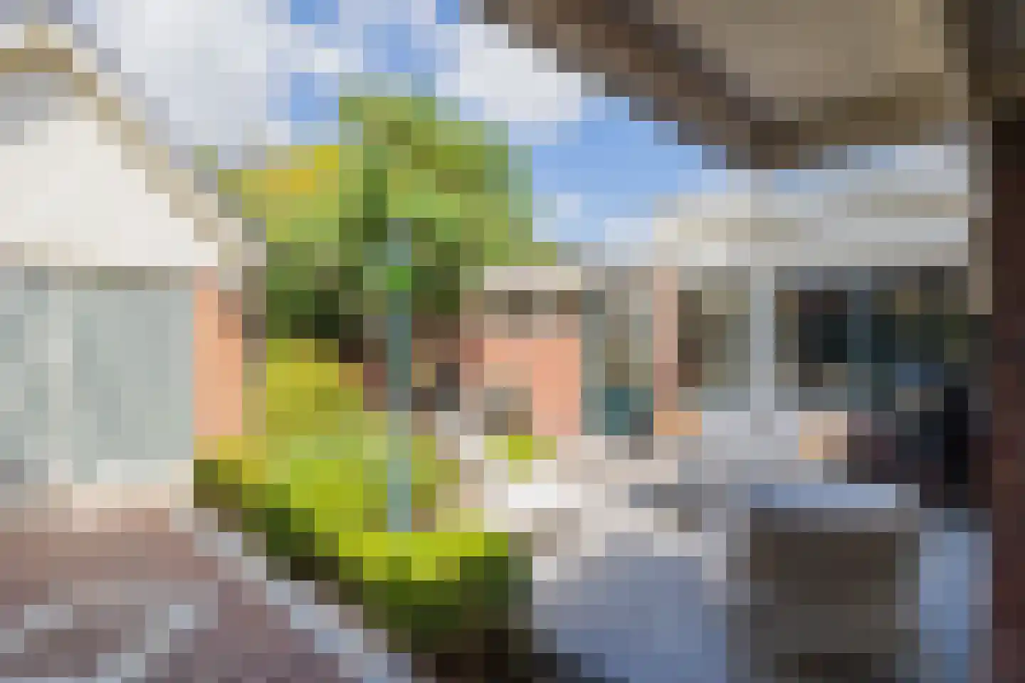 Broekweg 130 Lisse thumbnail 25